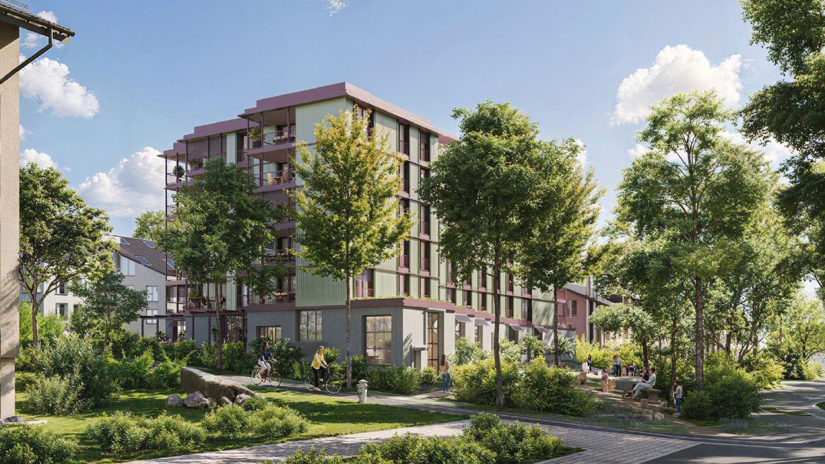 News_TM_kloten_hamelirain_WEB